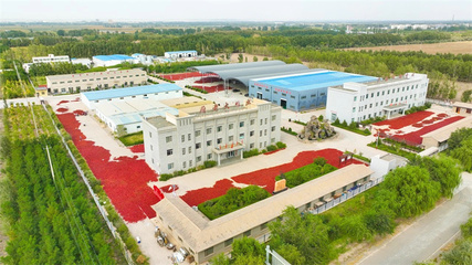 探寻农产品产地:领略田间地头的质朴与丰收盛景