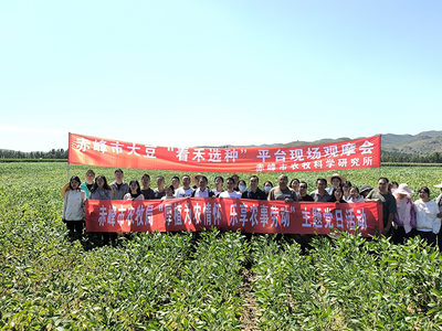 农户选种过程中的农事观察及细节总结