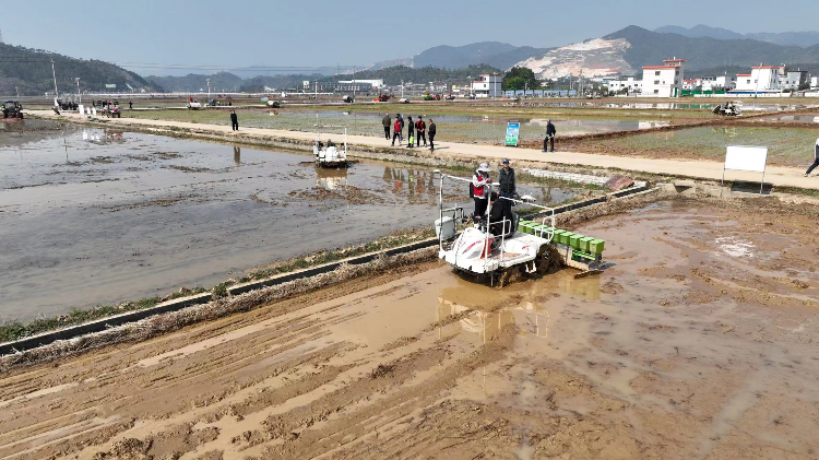 本地产销农情解读 聚焦本地农产品供需现状及发展动态