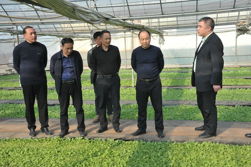 深入核心产区实地观察 直击一线产销行情最新动向