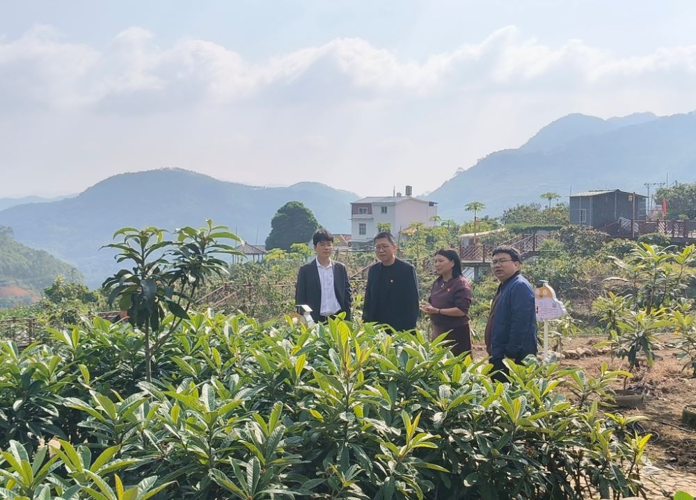 深度观察种植产业：剖析现状、洞察趋势与挖掘潜在机遇