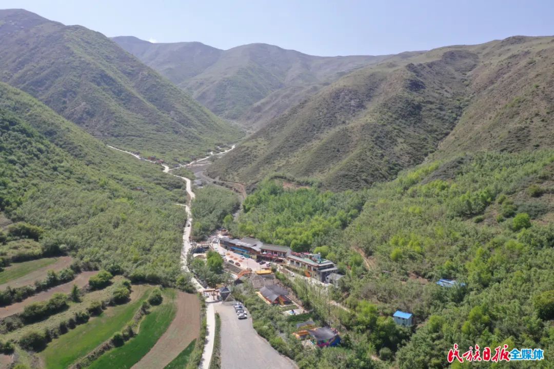 乡村生态保护见闻：青山绿水间的别样景致与守护故事