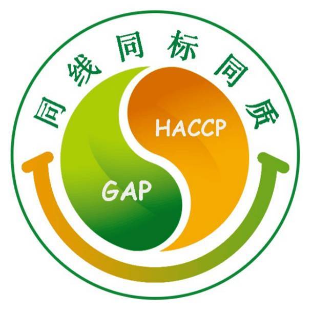 农产外销深度剖析:现状、挑战与机遇全方位解读
