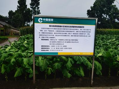 产区变化深度观察：剖析背后动因与未来走向