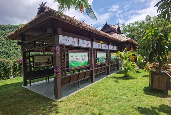 特色村寨实地见闻:领略别样风情,感受独特魅力
