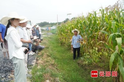 田间地头特色种植模式实地观察记录