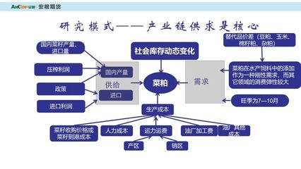 实地探访核心产区 深度解读供需市场最新格局