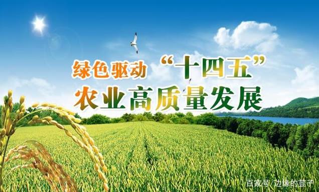绿色发展主题下的农情解读与新趋势探析