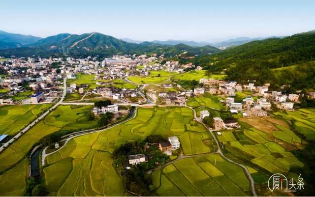 坡垄茶青稻穗黄 丘陵乡居烟火里的百态日常