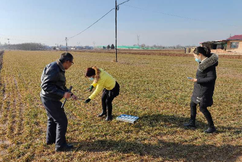 农技落地深度观察：剖析技术扎根实际的全方位图景