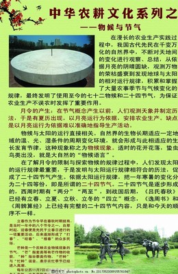 芒种时节浙北水网稻田农耕实地观察散记