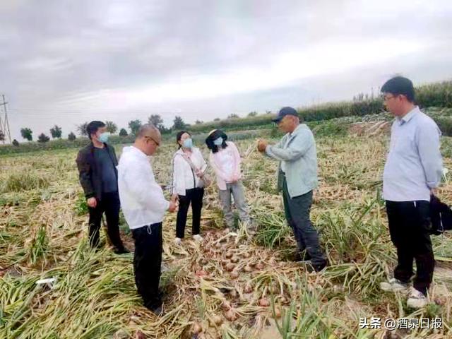 开展新品种实地考察调研助力农业品种优化升级