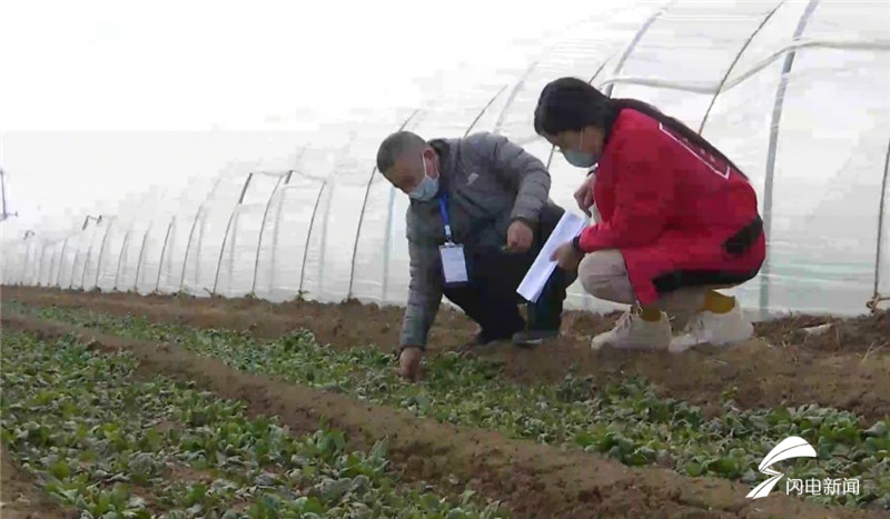 细察农地现状 记下田间真实的农事日常