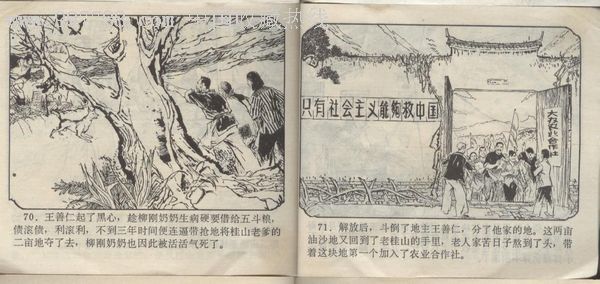 本土良种传奇:那些鲜为人知却意义非凡的育种故事