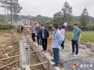 探访乡间生态农田 实地观察绿色种植生长实况
