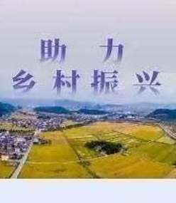 农区就业农情深度解读 锚定农户增收稳岗的发展方向