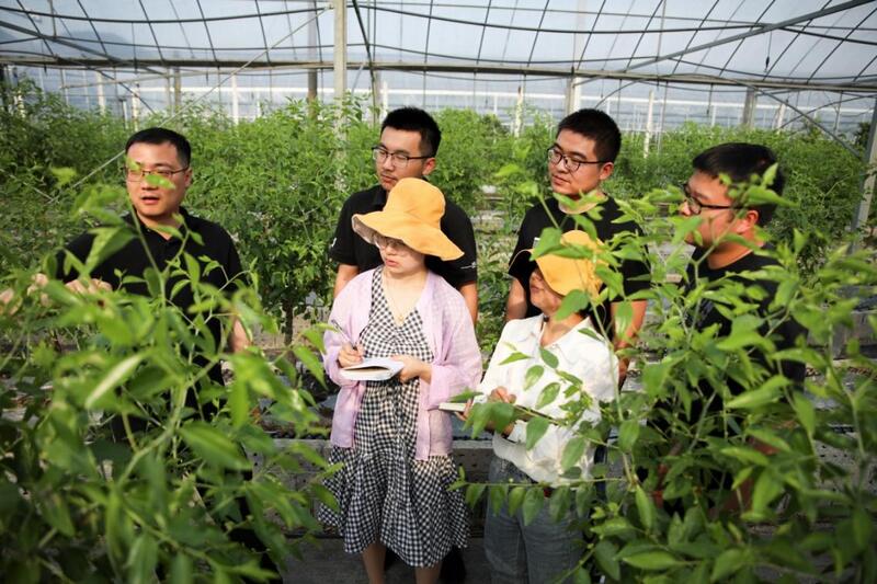 农业新业态发展中的农事动态观察与探析