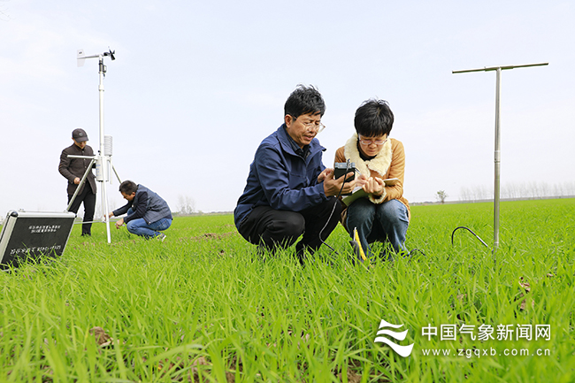 深入基层田间地头 实地观察摸清一手农情