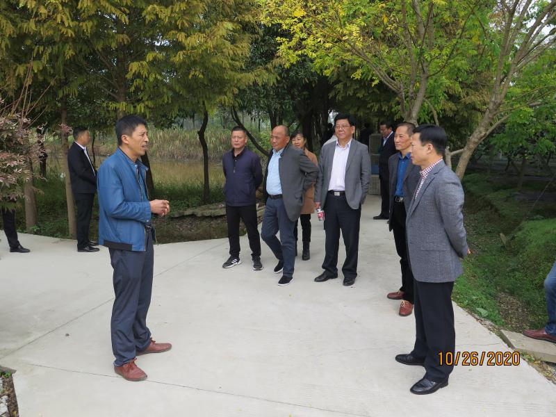 乡村土地流转实地观察:撂荒地蝶变与农户增收的真实图景