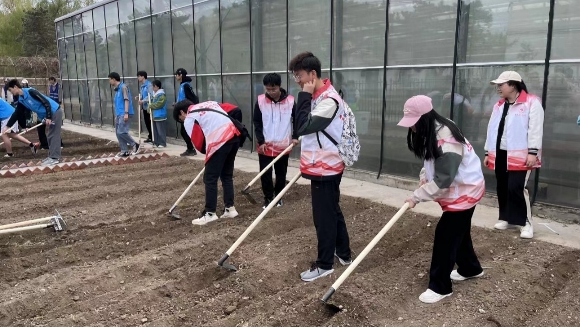 农耕器械的农事观察 窥见田间劳作的质朴点滴