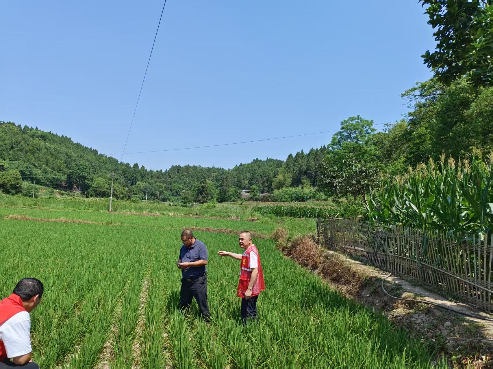 农业民生一线：田间地头故事多，民生百态展新颜