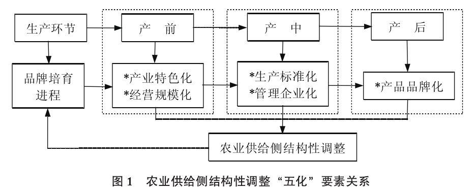 探寻农产品牌化路径:挖掘特色、拓展渠道与强化营销之道