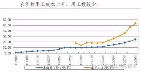 农业用工结构性矛盾与优化路径深度解读