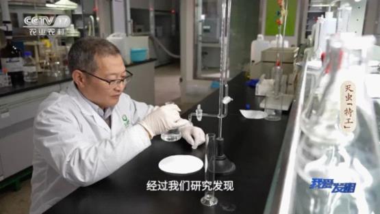 探访农产前沿 解锁乡村产业振兴新方向