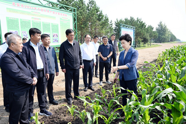 农产市场实地观察：鲜活交易场景与多样农产品的直观呈现