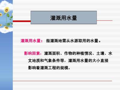 深度解读灌溉条件：从水源到技术，全方位剖析其关键要素