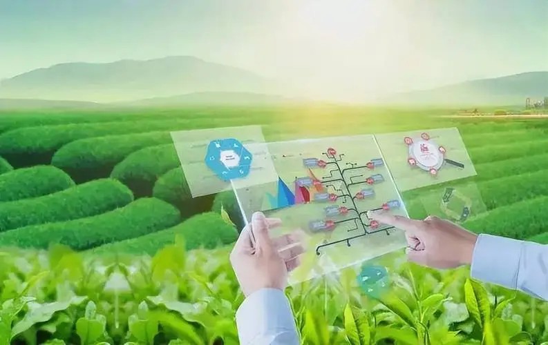 科技赋能全链升级 蹚出农产提质增效新路径
