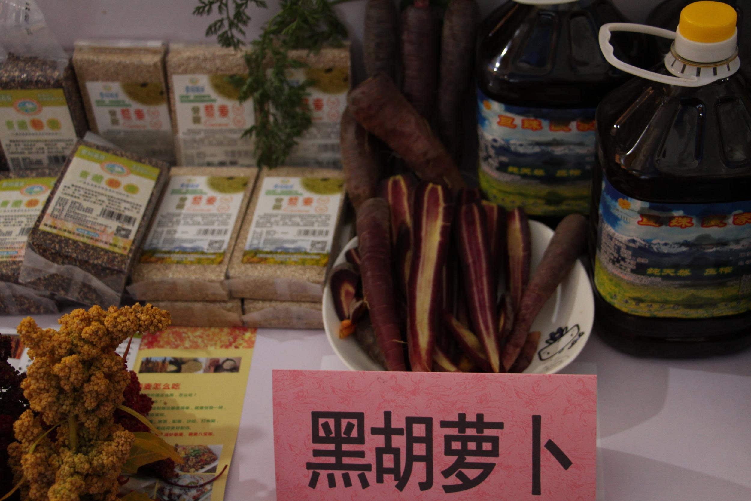 走进赣南脐橙核心产区 实地见闻特色农产丰产热销场景