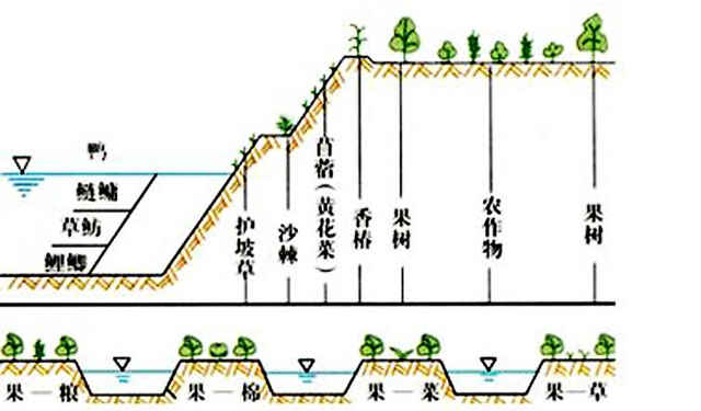 种植格局深度解读 解码种植业布局的底层逻辑与演化趋势