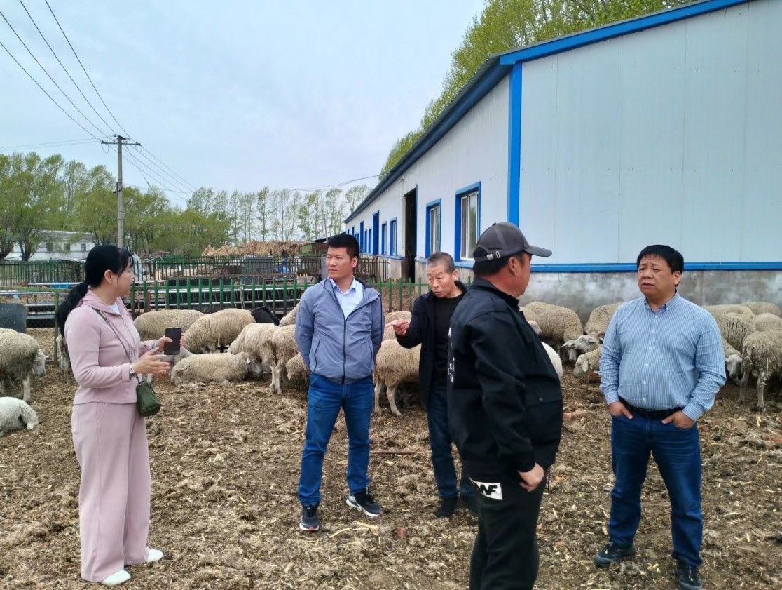 溯源传统农种 寻觅农耕文明的深厚根脉