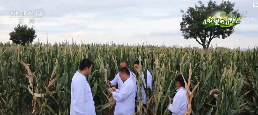 探访良种繁育基地 探寻农业增产新路径