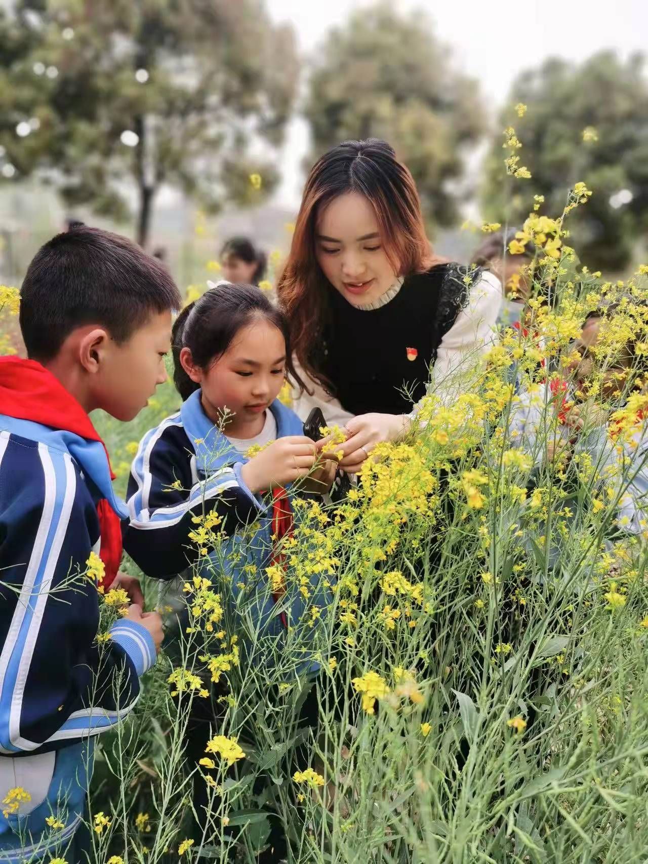农区四季行：春种夏长秋收冬藏的实地观察之旅