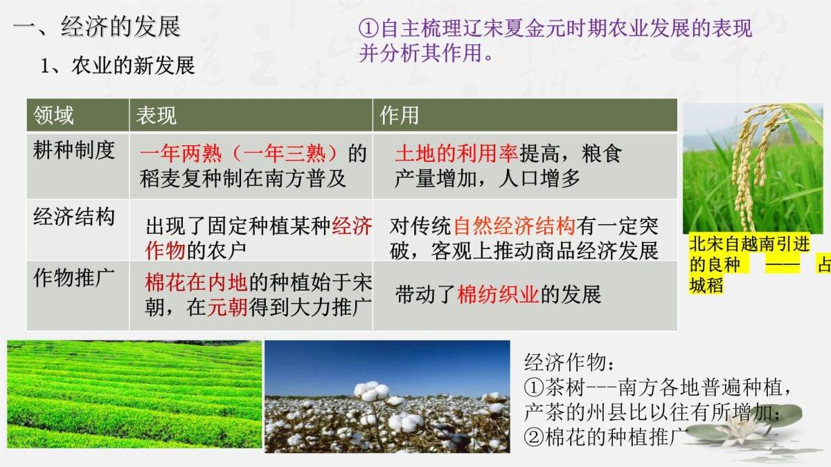 传统作物迸发新活力 开辟乡村产业发展新赛道