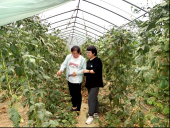 产地农事观察及近期农产品市场行情走势解析