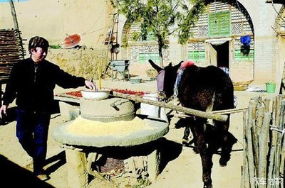 农家待客风情：热炕摆宴、土菜飘香间的质朴与欢畅
