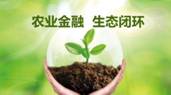 农业收益深度观察：剖析背后真相与影响因素