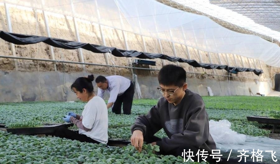 返乡务农开启新篇:探索别样实践路,书写乡村振兴新章